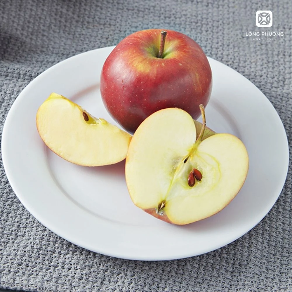 Flat-Round-Plate (4) Explore the Flat Round plates by Long Phuong