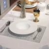daily plates set or elegant dinner plate set