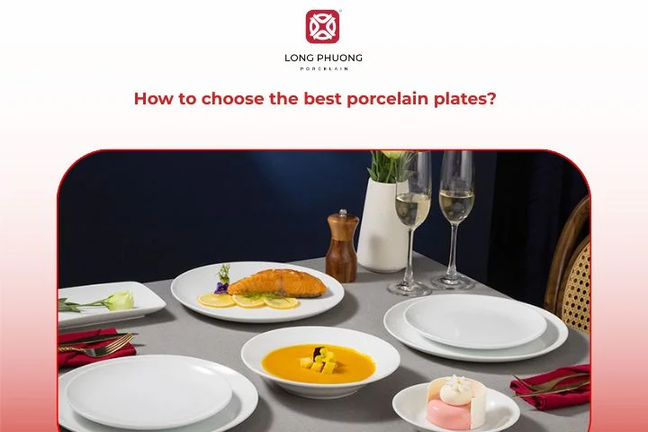 How to choose the best porcelain plates?