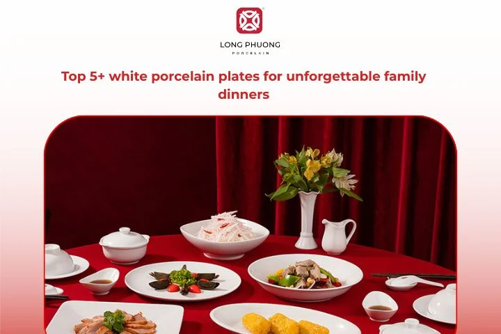 Top 5+ white porcelain plates for unforgettable family dinners