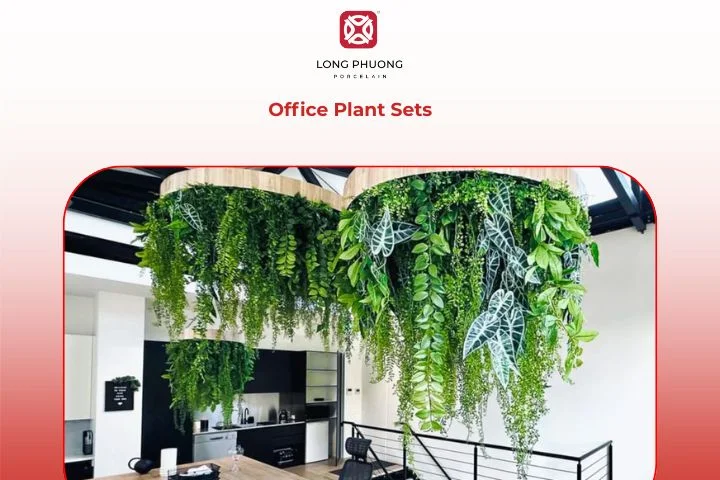 Office Plant Sets