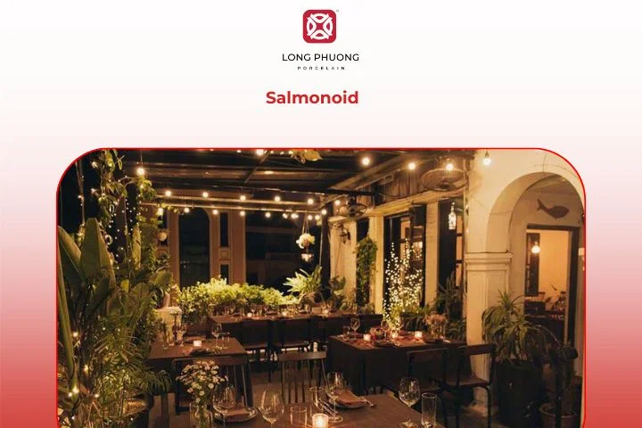 Salmonoid Hanoi – European fusion restaurant