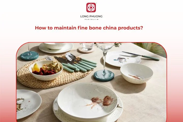 How to maintain fine bone china