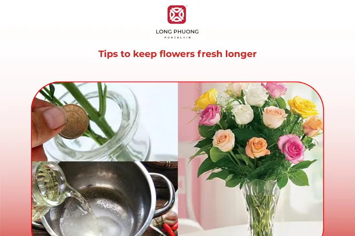 How to make your flowers last longer