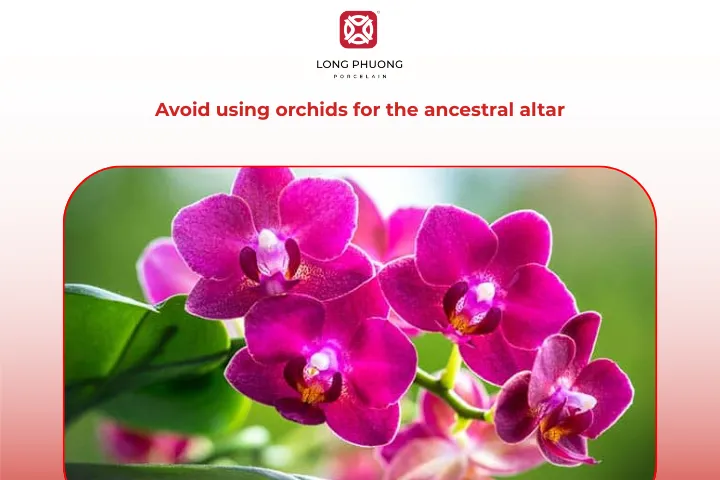 You should not use orchids for ancestral worship
