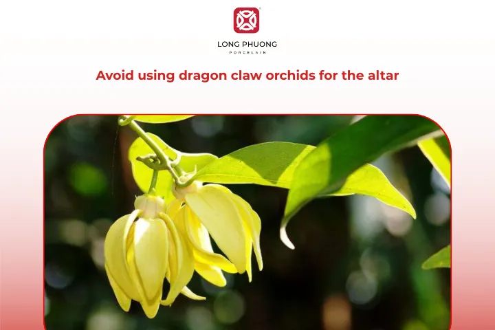 You should not use dragon claw orchids for the altar arrangement