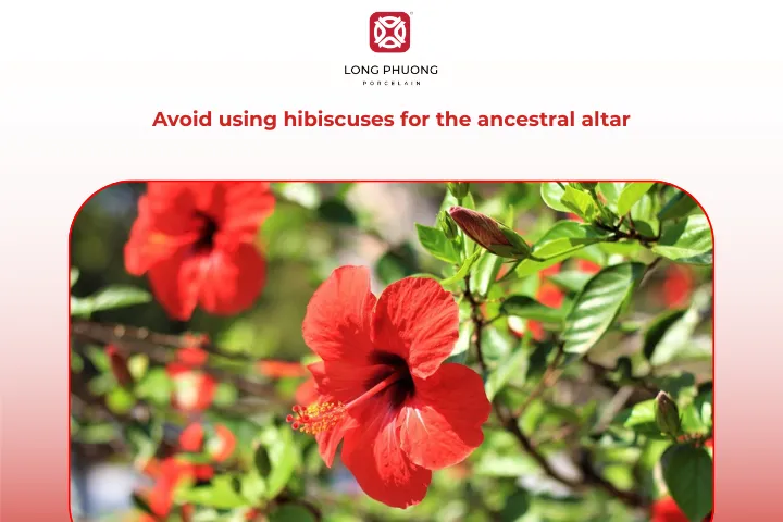 Hibiscuses are generally not used for ancestral worship