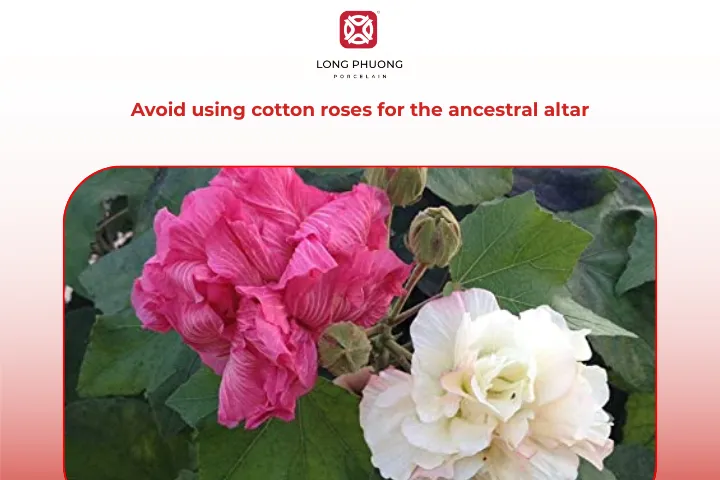 You should not use cotton roses to display on the altar