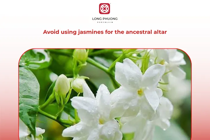 You should not use jasmines for the altar arrangement