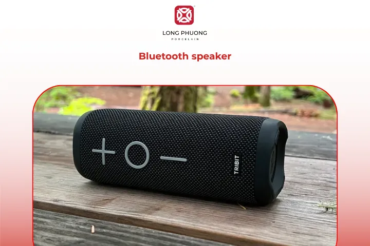 Let his favorite tunes follow him anywhere with this powerful little speaker