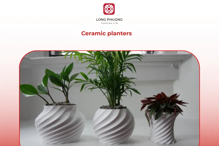 Sculptural ceramic planters are trending as bold statement pieces