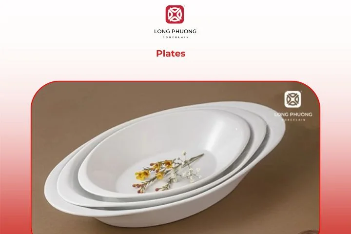 Porcelain plates for serving Asian dishes