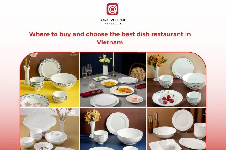 Where to buy and choose the best dish restaurant in Vietnam for hotels and restaurants