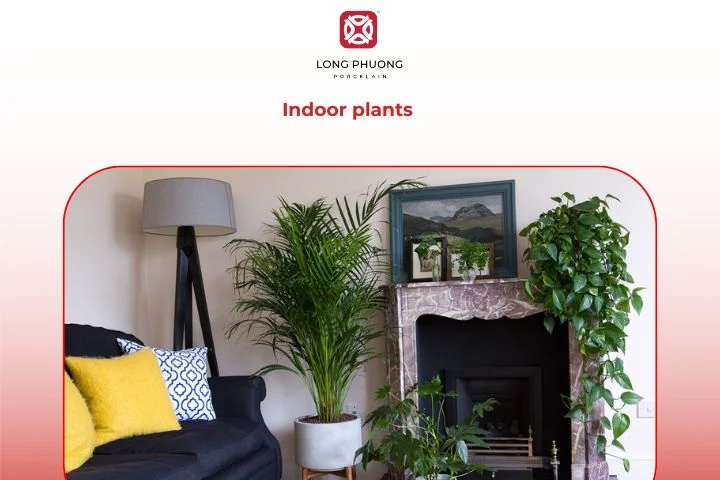 Green indoor plants — natural and refreshing housewarming gifts home ideas.