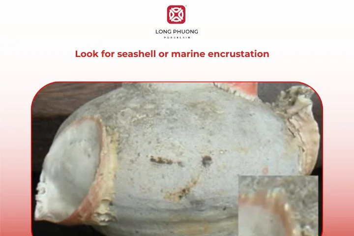 Seashell marks or marine deposits suggest pottery recovered from old shipwrecks or coastal sites