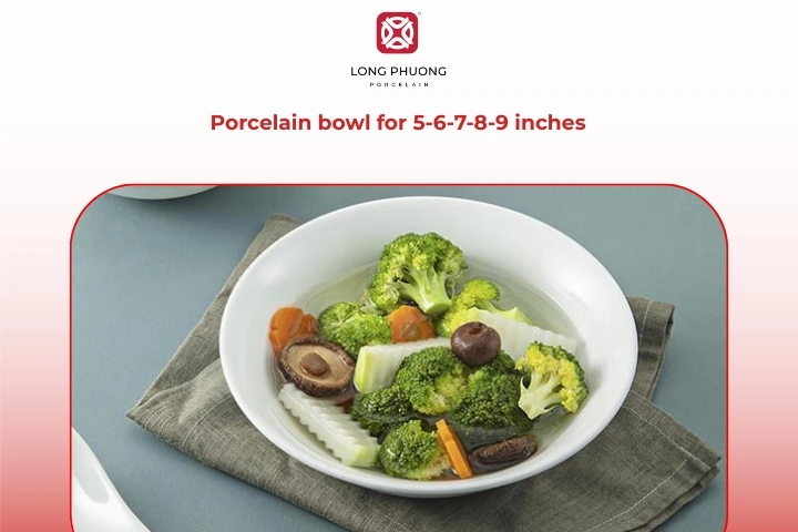 Multi-size porcelain pasta bowl set ranging from small to large low pasta bowls