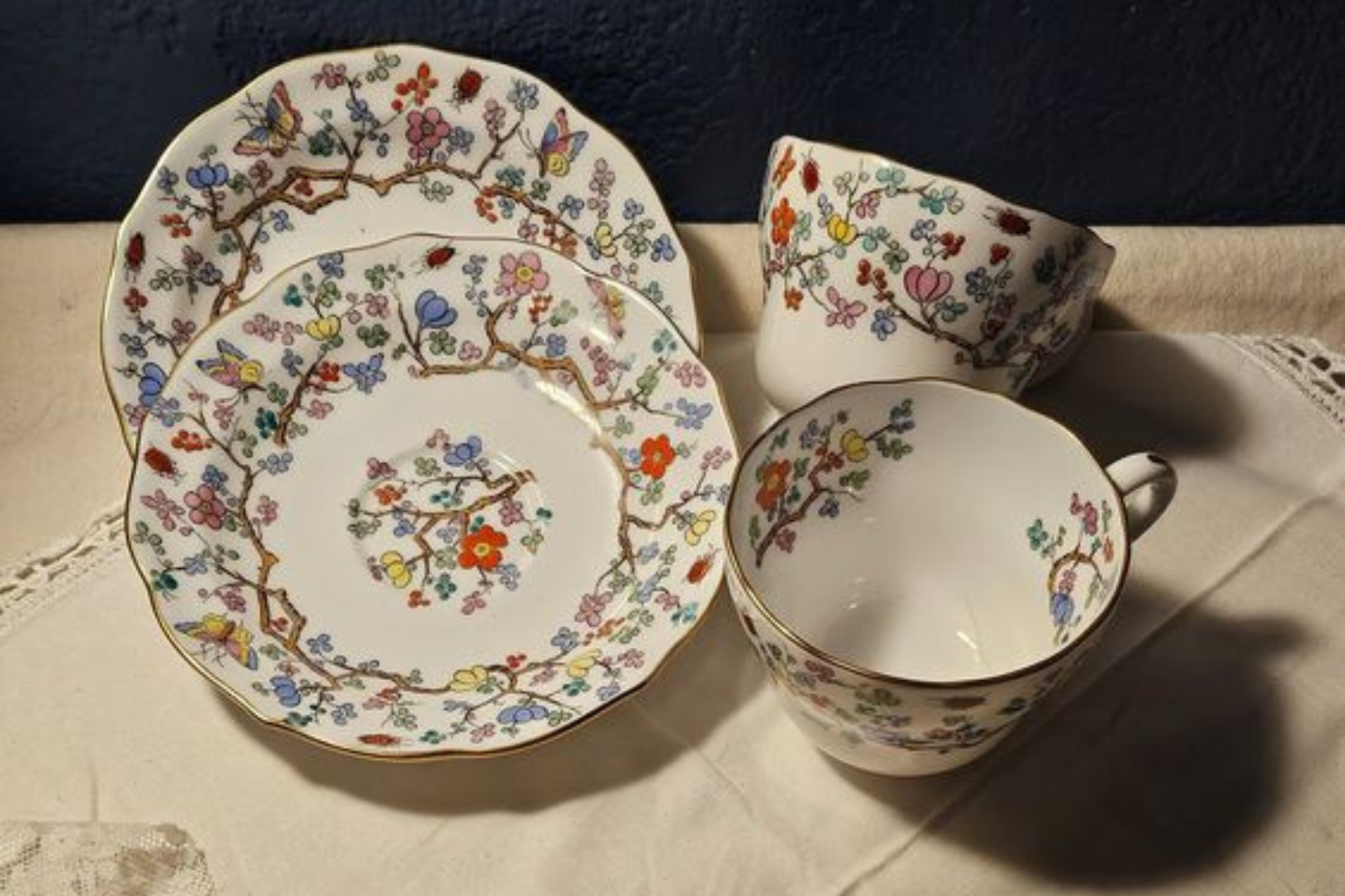 sứ xương là gì