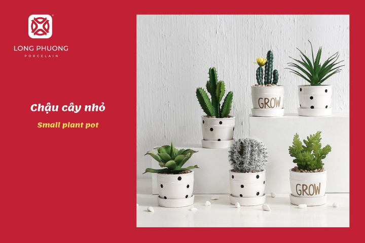 món quà cưới chậu cây xanh