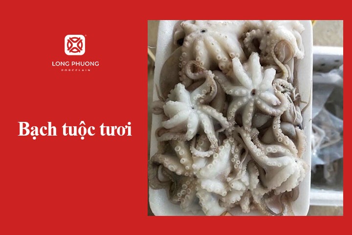 bạch tuộc tươi ăn lẩu thập cẩm