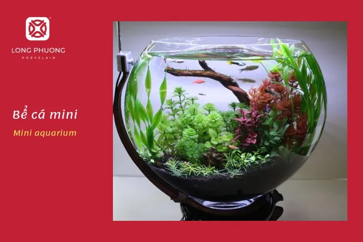 tặng bể cá