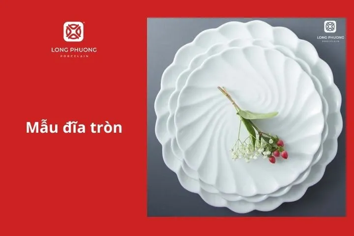 Mẫu đĩa tròn đẹp, nhiều kích thước