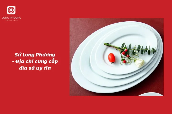 Sứ Long Phương - nhà cung ứng các mẫu bát đĩa sứ Nhật Bản cao cấp