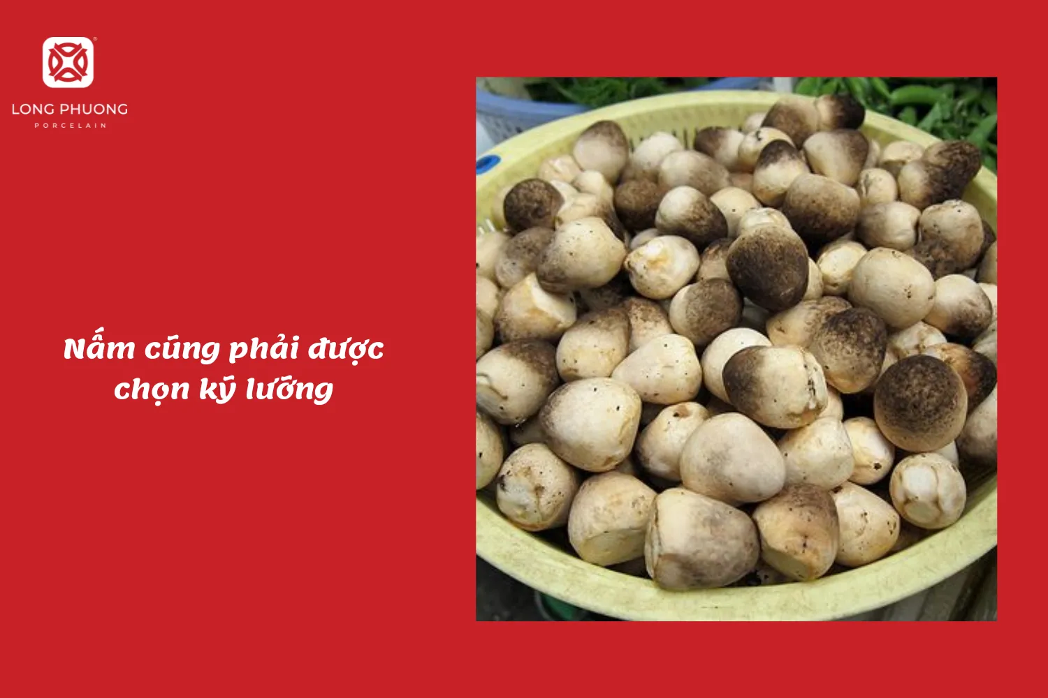 Lựa chọn nấm ngon giúp món cháo đảm bảo hương vị