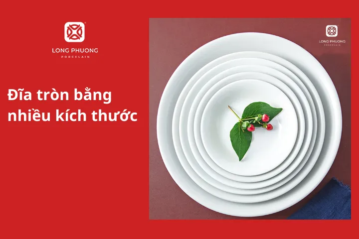 Đĩa tròn bằng nhiều kích thước