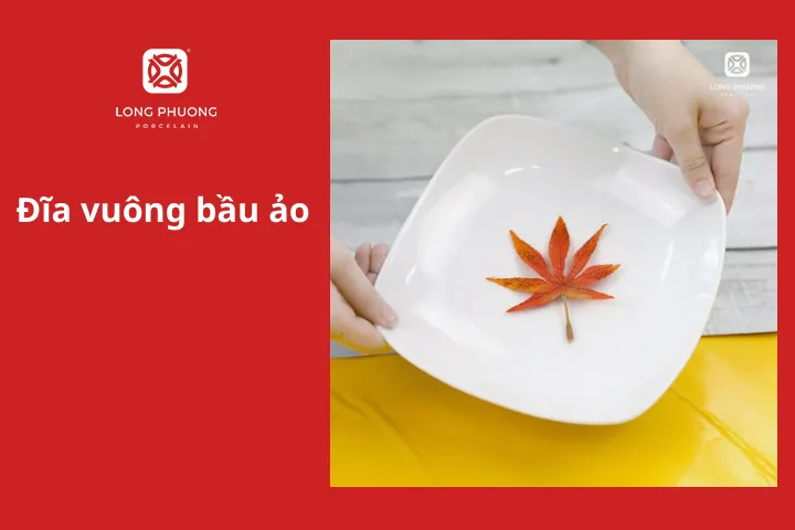 Đĩa vuông bầu ảo