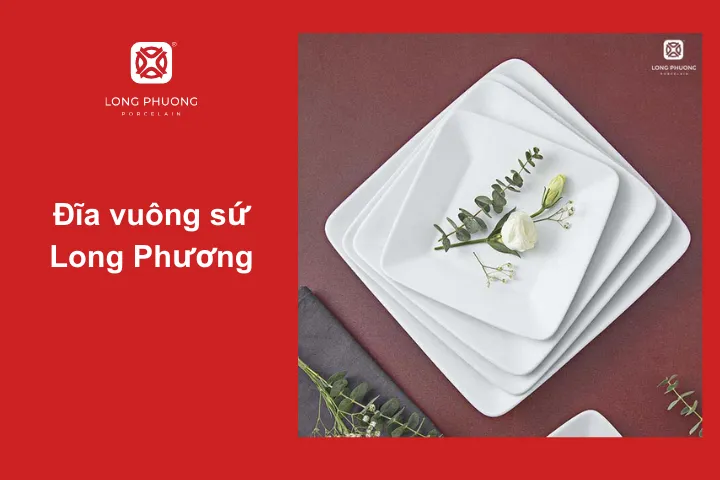 Đĩa vuông sứ thích hợp thưởng thức món nướng