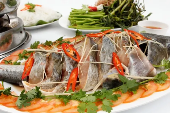 Cá tầm làm món gì ngon và thích hợp để đãi gia đình? Tham khảo các gợi ý dưới đây!