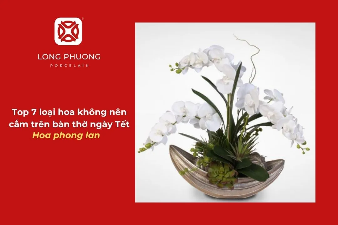 những mẫu hoa hạn chế cắm