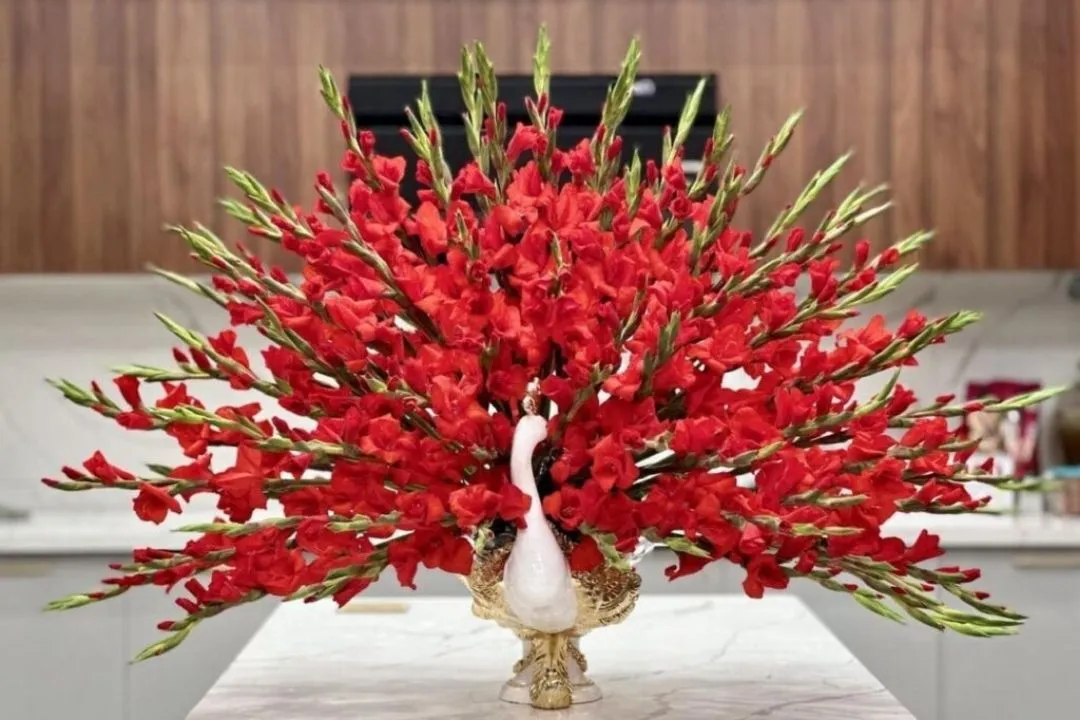 cách cắm hoa lay ơn đẹp