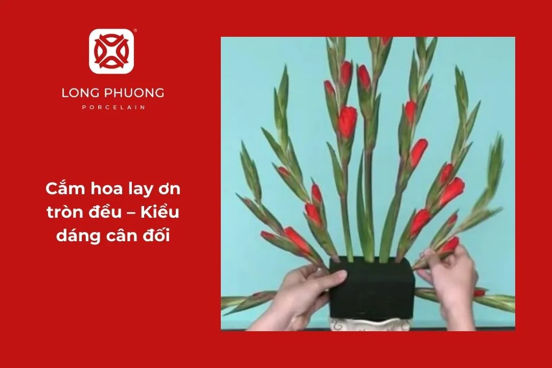 hướng dẫn cách cắm hoa lay ơn đẹp