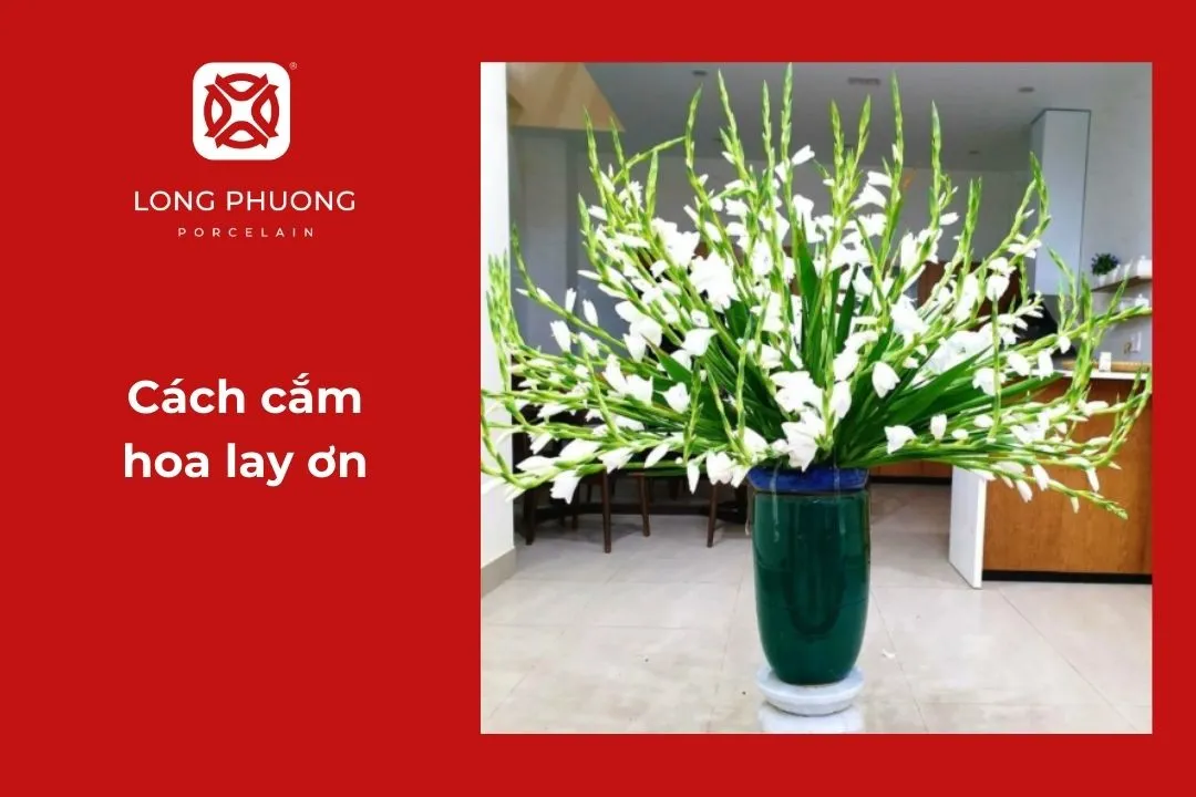 cách cắm hoa lay ơn