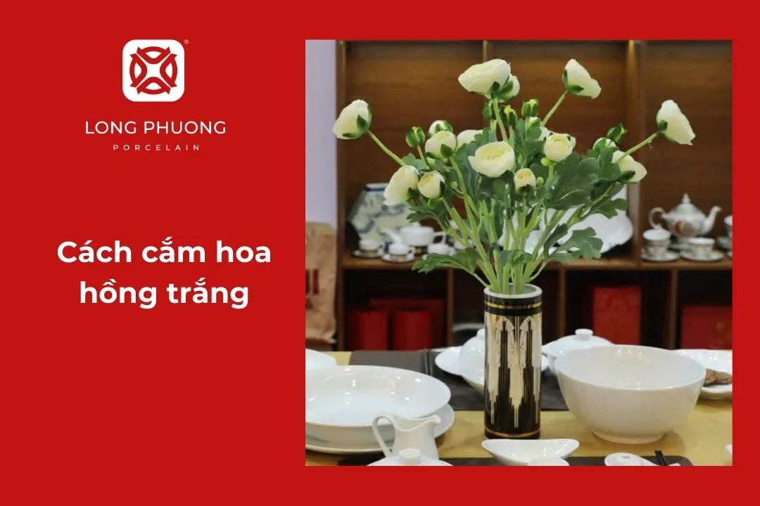cắm hoa hồng trắng