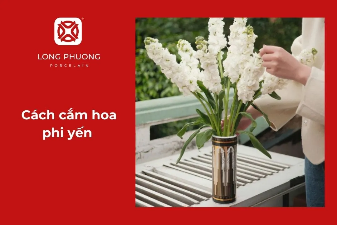 cắm hoa phi yến đẹp