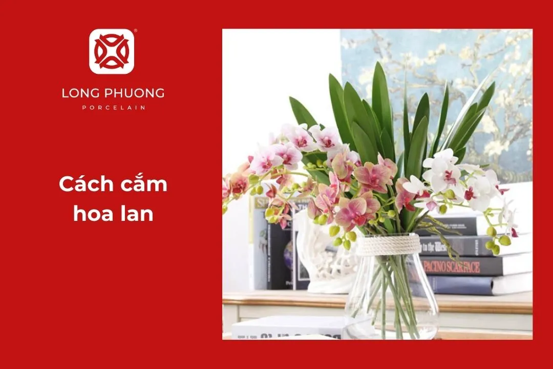 cắm hoa lan đẹp