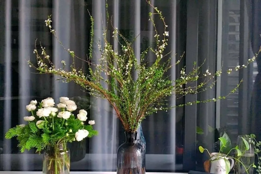 cách cắm hoa tuyết mai đẹp