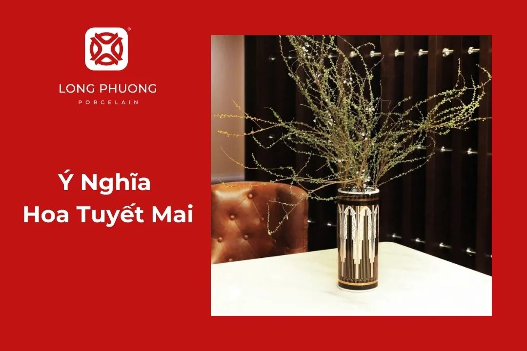 ý nghĩa hoa tuyết mai