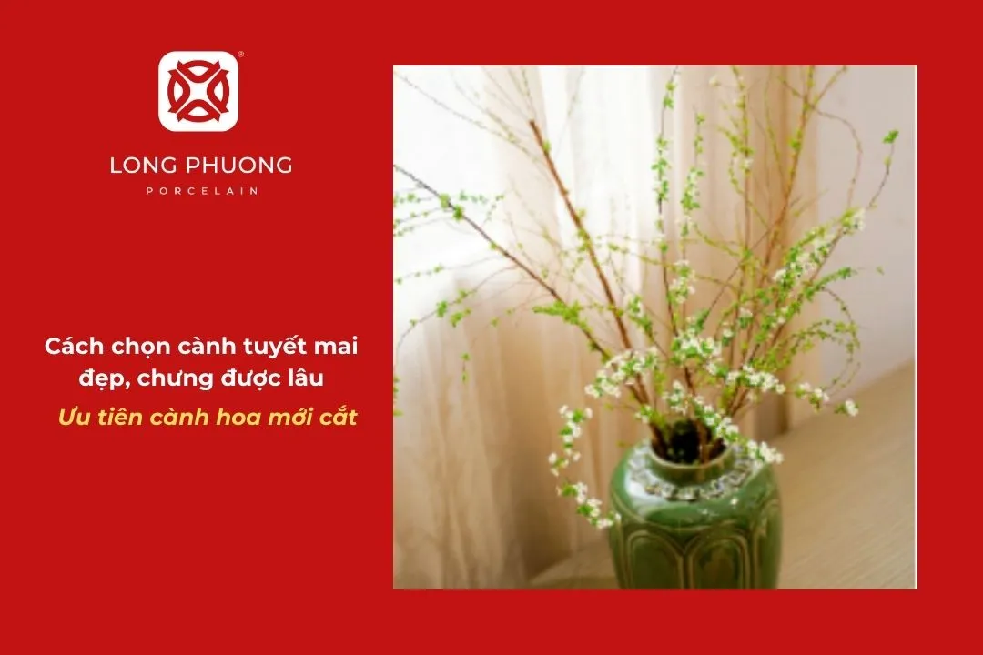 chọn cành mới cắt để giữ đườc lâu hơn