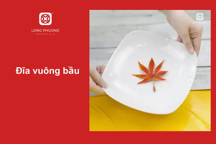 Ngoài đĩa tròn, đừng quên sắm thêm đĩa vuông để bàn tiệc đa dạng hơn