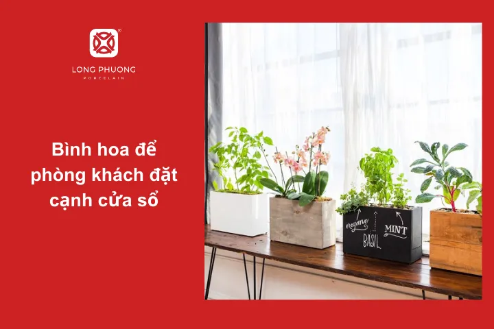 Bình hoa đặt sát cửa sổ đẹp mắt, tràn đầy sức sống