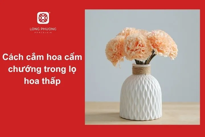 Cắm hoa cẩm chướng trong lọ thấp – Xinh xắn và hài hòa