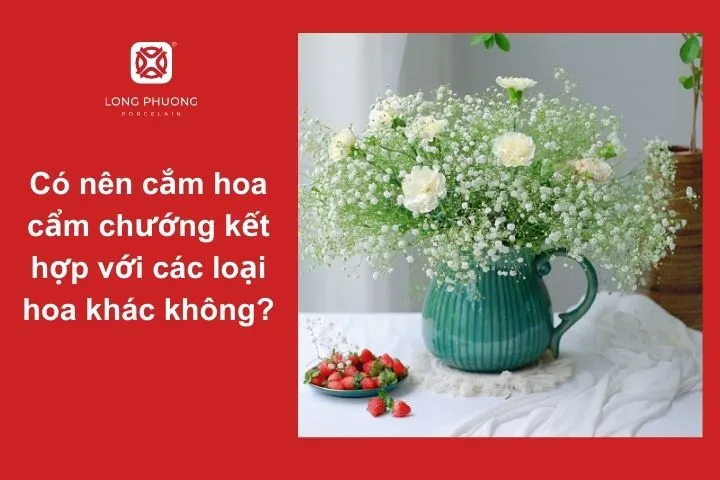 Hoa cẩm chướng kết hợp với hoa nào đẹp nhất?