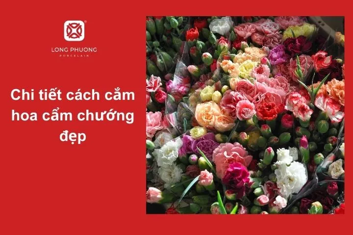 Hướng dẫn chi tiết cách cắm hoa cẩm chướng đẹp và ấn tượng