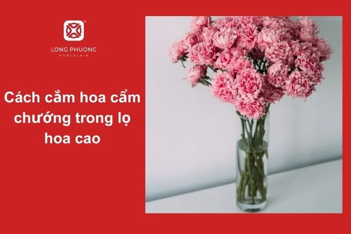 Cắm hoa cẩm chướng trong lọ cao – Thanh lịch và trang nhã
