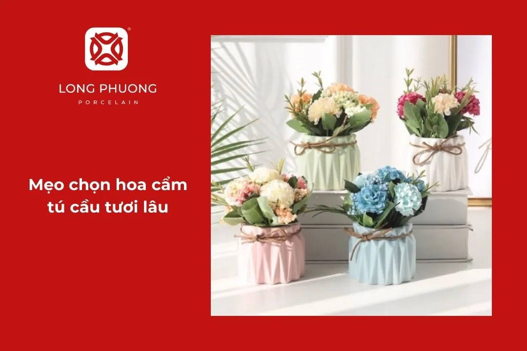 cách chọn hoa tú cầu tươi