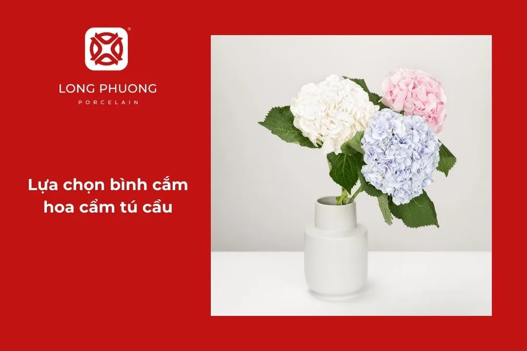 chọn bình cắm tú cầu