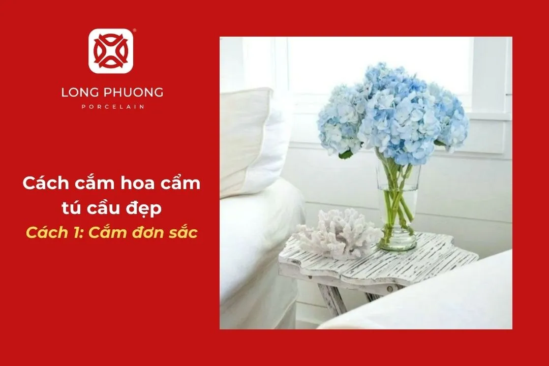 cắm đơn sắc hoa tú cầu